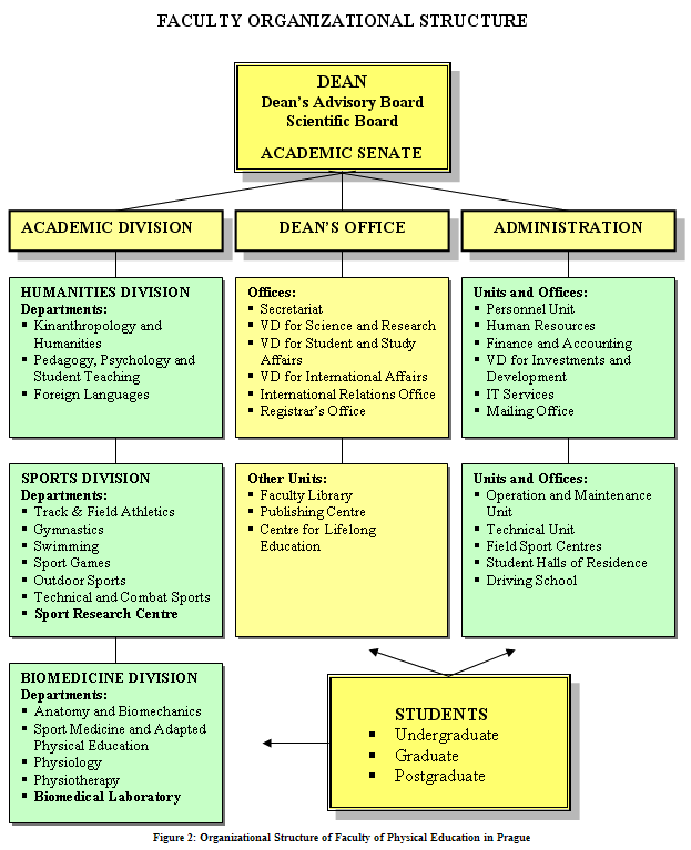 Figure 2: Organizational Structure of Faculty of Physical Education in Prague