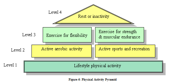 Figure 6: Physical Activity Pyramid